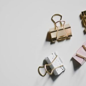 Vintage Style Clips